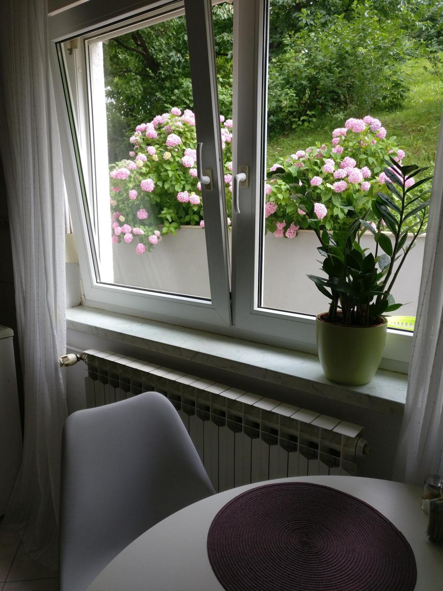 Apartman Malina Karlovac Zewnętrze zdjęcie